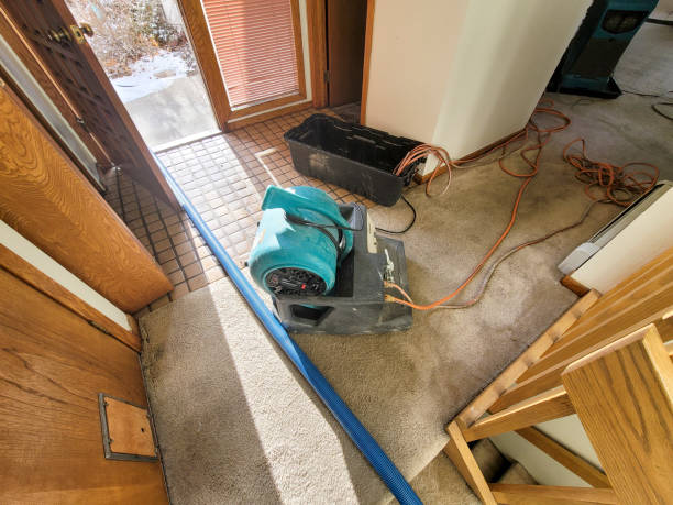 Best Water Damage Assessment and Inspection in Polkton, NC